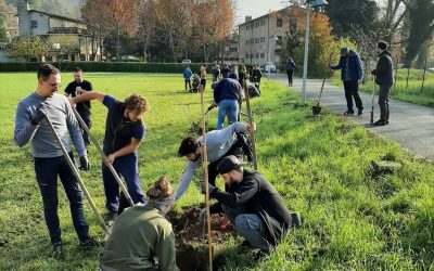 Festa dell’albero 2021: grazie a Legambiente cresce il bosco in Lombardia