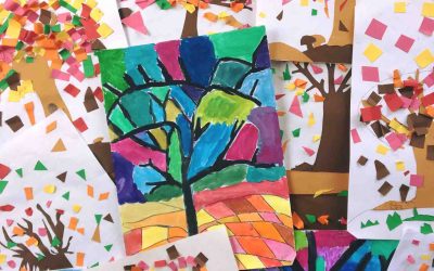Il bosco nelle scuole